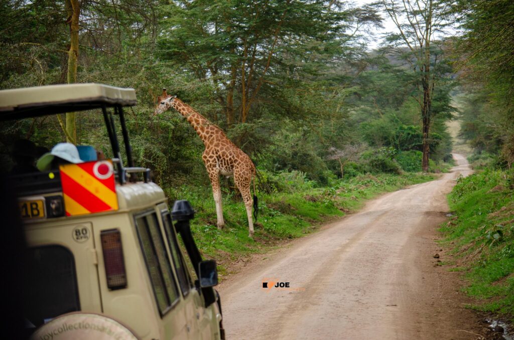 Marketing for Tour Companies in Kenya